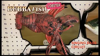 Bubba Lobster (Singing Bass Circuit)