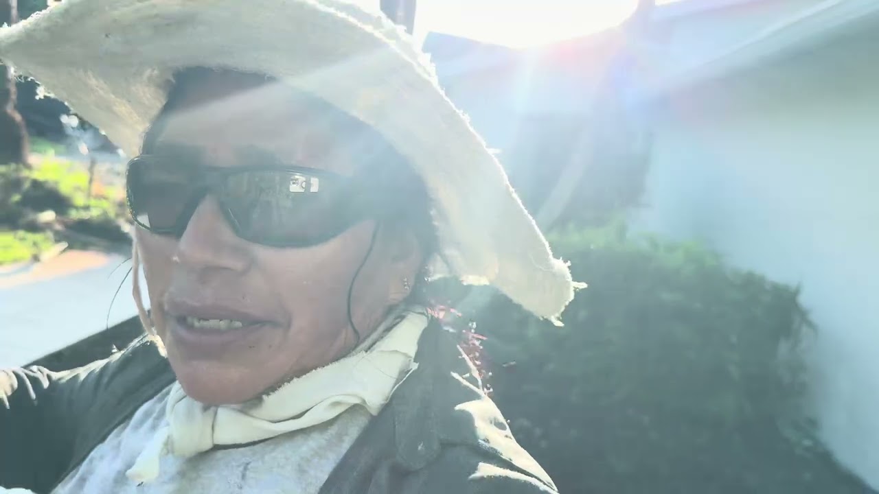 HACIENDO UNA LIMPIESA GRANDE (PARTE 1) #trending #plantas #viral #arlawnservice