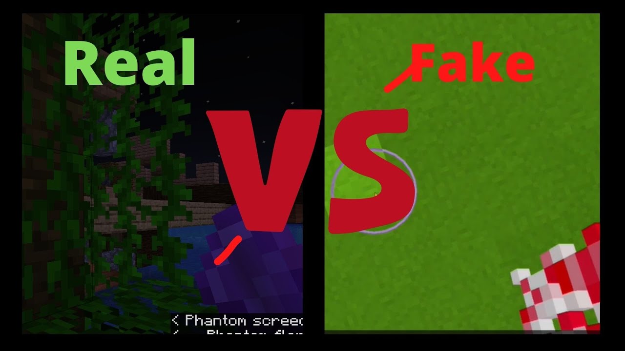 Minecraft REAL VS FAKE - YouTube