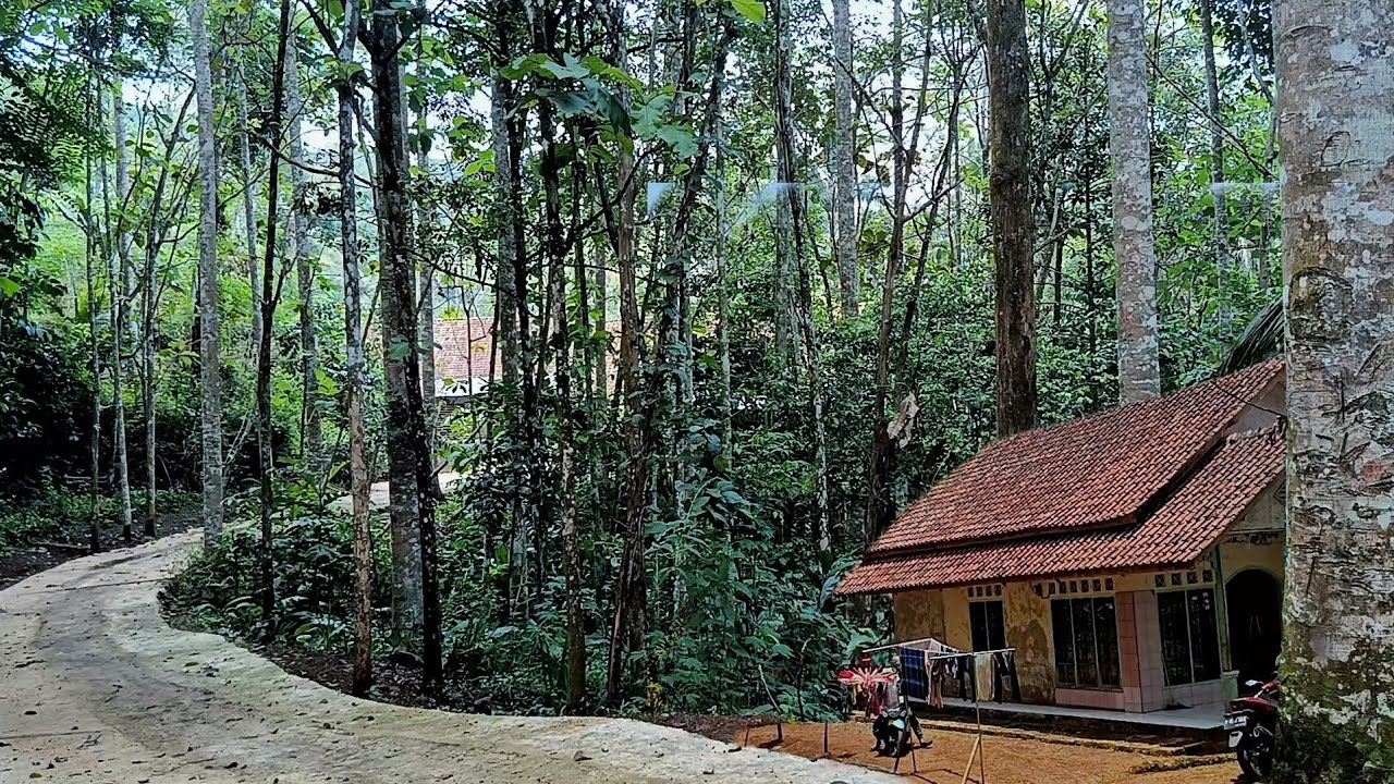 Inilah kampung terpencil‼️ dulunya hangat dengan suasana pedesaan kini hanya beberapa rumah tersisa