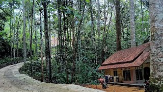 Download Lagu Inilah kampung terpencil‼️ dulunya hangat dengan suasana pedesaan kini hanya beberapa rumah tersisa MP3