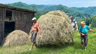 ชีวิตที่ยากลำบากในหมู่บ้านบนภูเขาของ Carpathians ครอบครัวเตรียมหญ้าแห้งสำหรับฤดูหนาว