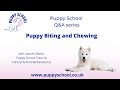 Puppy School Q&amp;A series - Puppy biting and chewing