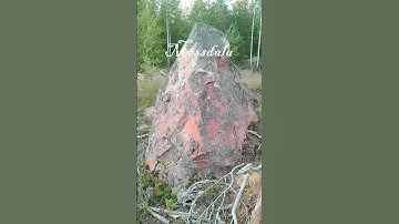 Thumbnail of Kutsuu ikuisuus (luonto ja laulu) Suomi Finland vibes