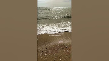 #القرآن_الكريم #quransurah #duet #المصحف #islamicsurah #تلاوة_القرآن #اكسبلور #راحة_نفسية #دويتو