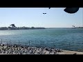 कोटा बैराज बांध/kota tour / tourism place in kota, kota deam, Ktps kota