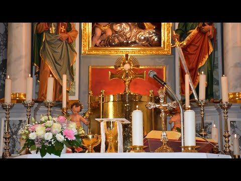 Video: Kako Katoličani Praznujejo Dan Svetega Dominika