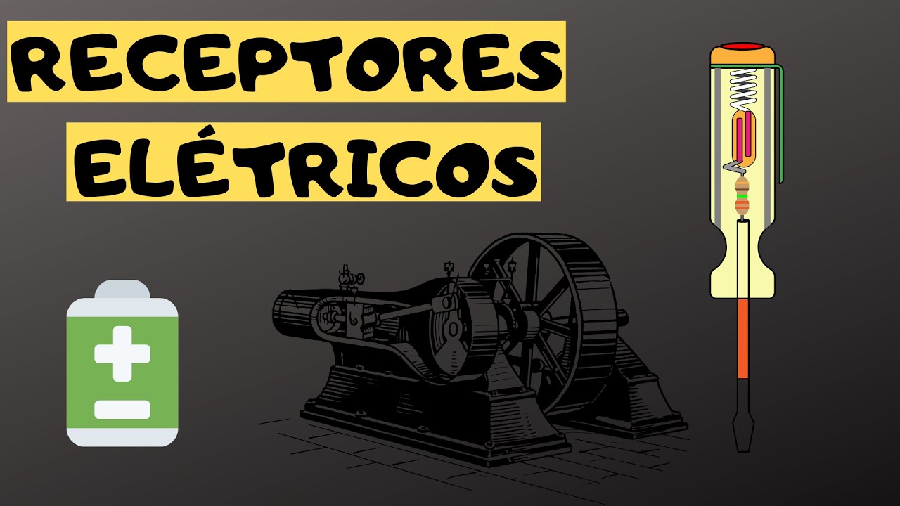 A Respeito Dos Receptores Elétricos Marque A Alternativa Incorreta