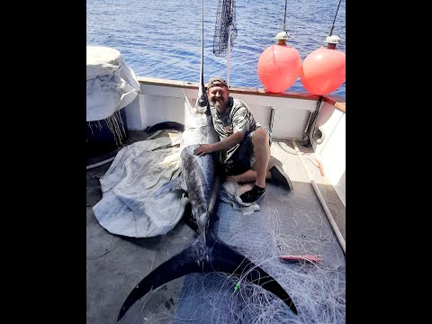 COME PESCARE I PESCI SPADA CON IL PALAMITO. CINQUE CATTURE ED ESCHE UTILIZZATE