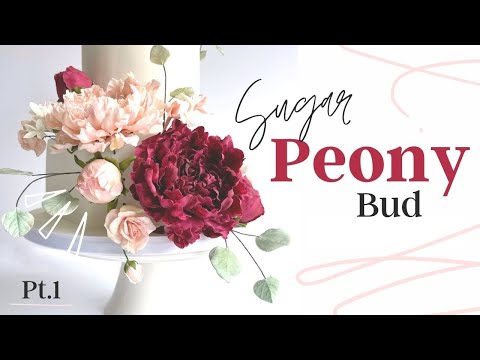 Sugar Peony Flower Tutorial // Making a Peony Bud // With Finespun Cakes