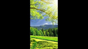 تلاوة خاشعة بصوت الشيخ أبوبكر مومني صلاة الشفع 18 رمضان 1438 هـ