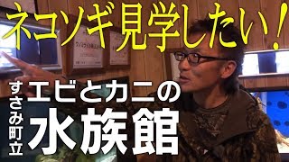 村上晴彦がエビとカニの水族館で大興奮