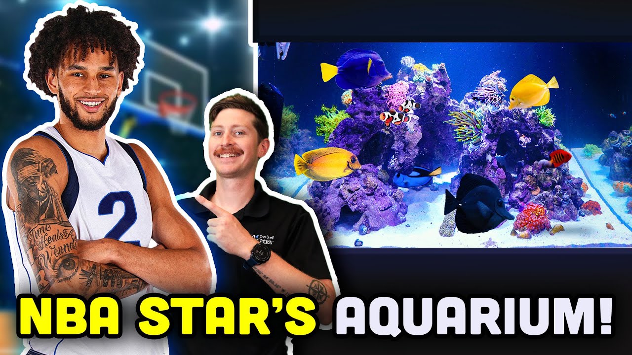 Dereck Lively II's Home Aquarium! EXCLUSIVE Tank Tour and VIP Shopping Spree!