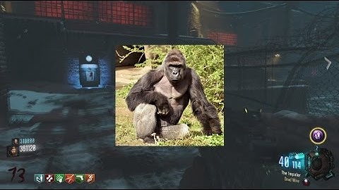 Black Ops 3 Leaderboards Reset with v 1.15 Update - Possible Zombies Leaderboard Reset in Future?