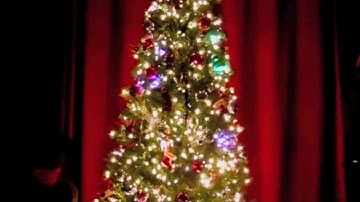 The Latest Thing In Christmas Lights-Smartphone Controlled