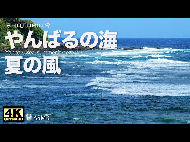 MOON☪︎ପଓ*ೃ様　　琉球*海花のたね Ryukyu Murasaki - Amakuma Ryukyu
