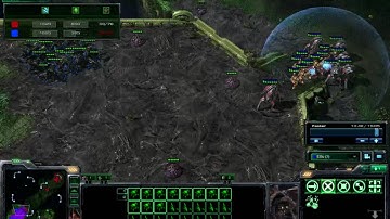 Zerg Ellio Roach/Ling trap