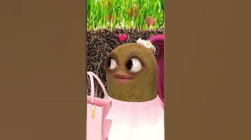 والله مجنونه Shorts Viral 