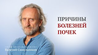 Валерий Синельников. Когда начинают возникать болезни почек и какие основные причины для их болезни