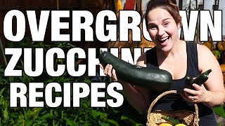 How to Cook an Overgrown Zucchini (PLUS 26 BONUS RECIPES)