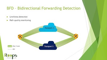 Cisco SD-WAN - BFD (Bidirectional Forwarding Detection) (Spanish)