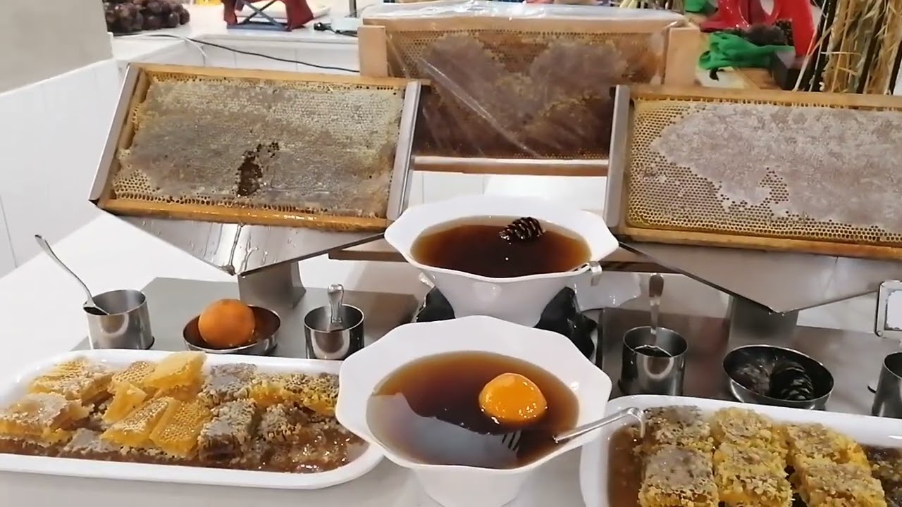 Beautiful breakfast  Hotel Dream Fun World Kümkoy Türkei 09.2024 🇹🇷