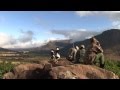 Winterberg Mountain reedbuck hunt