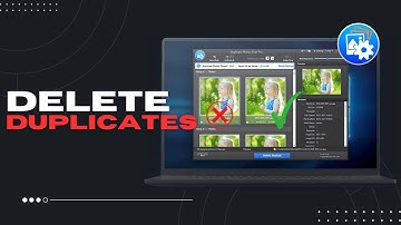 Delete Duplicate Or Similar Looking Photos With Ease | Duplicate Photos Fixer Pro