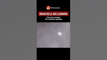 Brain Rewiring in Real Time.