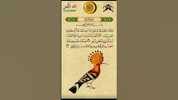 سورة النمل #القرآن_الكريم #اله في ذكرى الله تطمن القلوب تلاوة خاشعة ومؤثرة 🎧🤲