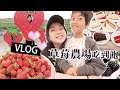 【週末Vlog】母親節吃飯竟然踩到史上CP值最低的自助餐…