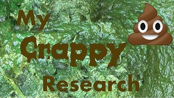 My Crappy Research - Why are dung beetles important?