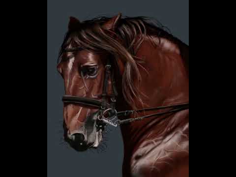 how to draw a realistic horse on procreate Horse portrait tutorial - Procreate digital painting how to draw a realistic horse on procreate Horse portrait tutorial - Procreate digital painting