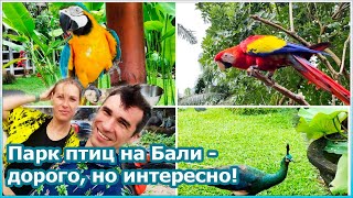 Парк птиц на Бали - дорого, но интересно! [№131]