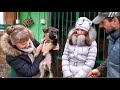 КАК ПРАВИЛЬНО ВЫБРАТЬ ЩЕНКА.How to choose the right puppy.Немецкая овчарка. Odessa.