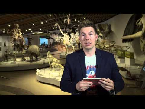 Dan & Veltz 3 Zoologisk museum.vid