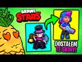 💎5 SKINÓW KTÓRE MOŻNA było DOSTAĆ ZA DARMO w BRAWL STARS!