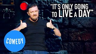 A Dog Is For Life | Ricky Gervais | Universal Comedy