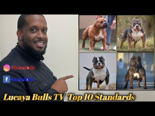 The American Bully Standards: Presented by Bully Max™ - Bully Max