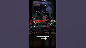 Darkest Dungeon #1 - Necromancer Lord Boss Fight 💀