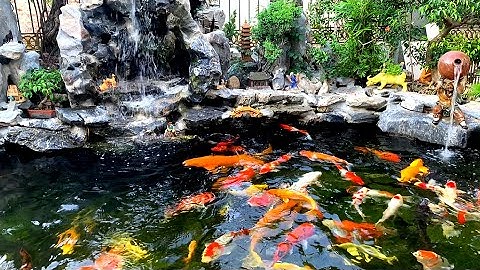 Mẫu Hồ Cá Koi Với Thác Nước Nhân Tạo Cho Sân Vườn Nhà Bạn