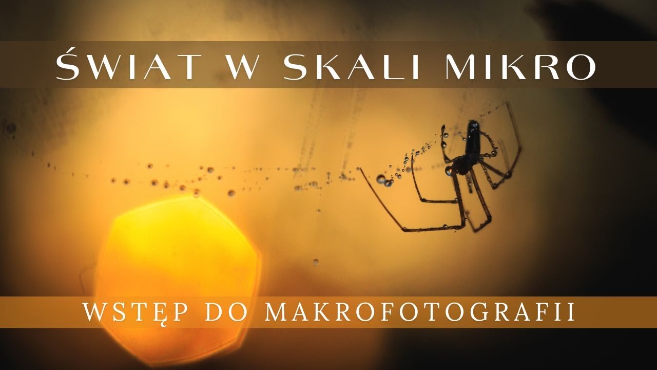 Makrofotografia - Wstęp i Poradnik - Jak Zacząć, Czym Fotografować, Obiektywy i Sprzęt