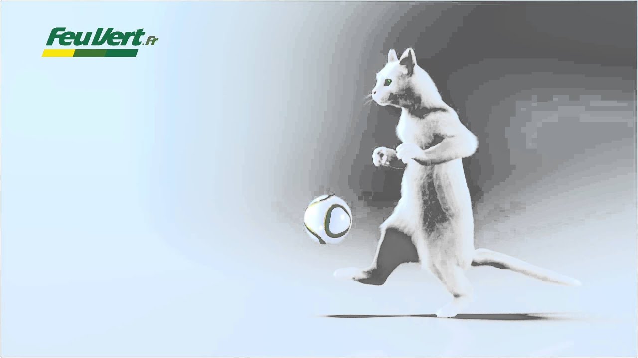 Feu Vert Ou Le Marketing D Opportunite