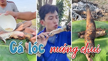 Ra Đồng Bắt Cá Làm Món Cá Lóc Nướng Chui Nào Cả Nhà Ơi | Phúc Nhọn