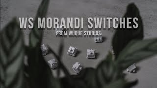 WS Morandi Linear Switch - An Easy Recommendation