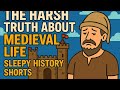 The Harsh Truth About Medieval Life 🏰 | Sleepy History Shorts #2
