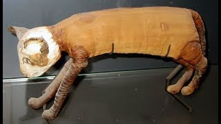 100 ЗАБАВНЫХ и ИНТЕРЕСНЫХ ФАКТОВ О КОШКАХ Видео с кошками 100 ЗАБАВНЫХ и ИНТЕРЕСНЫХ ФАКТОВ О КОШКАХ Видео с кошками