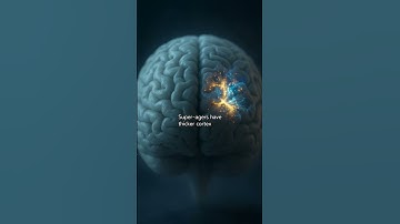 What if your brain could stay sharp until you are 90? Scientists found people who do. They are calle