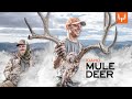 Idaho mule deer  meateater season 12