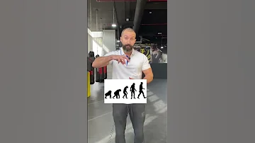 عضلات المؤخره 